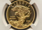 2023 High Relief Gold $100 Cropped