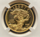 2023 High Relief Gold $100 Cropped
