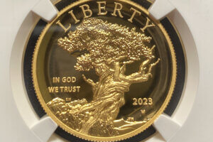 2023 High Relief Gold $100 Cropped